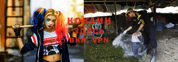 дживик Аркадак