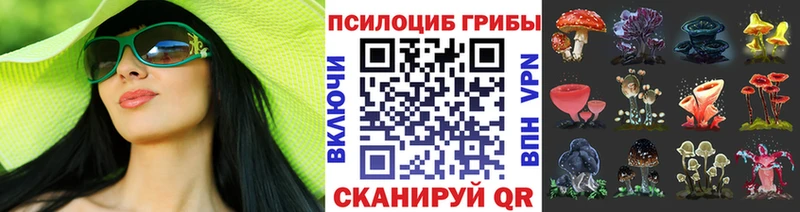 наркотики  Сусуман  Псилоцибиновые грибы прущие грибы 